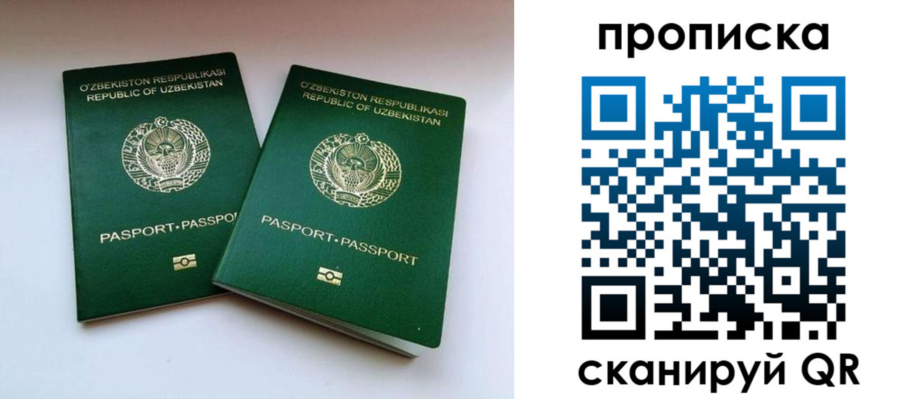 прописка поиск в Кукморе